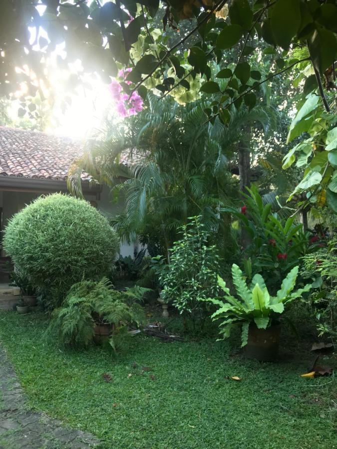 Tangalle Green House المظهر الخارجي الصورة