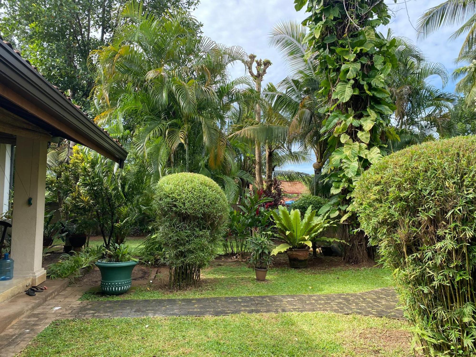 Tangalle Green House المظهر الخارجي الصورة