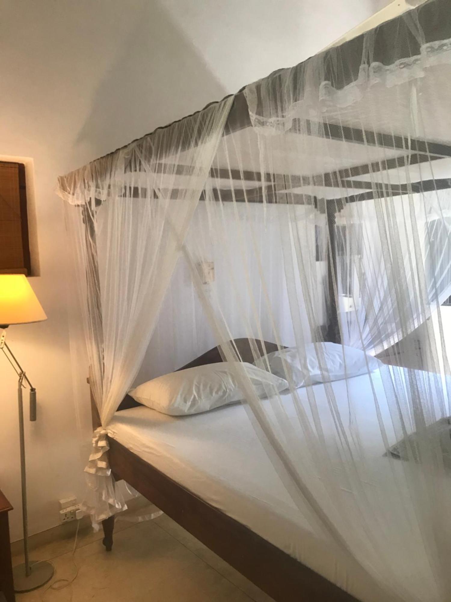 Tangalle Green House المظهر الخارجي الصورة