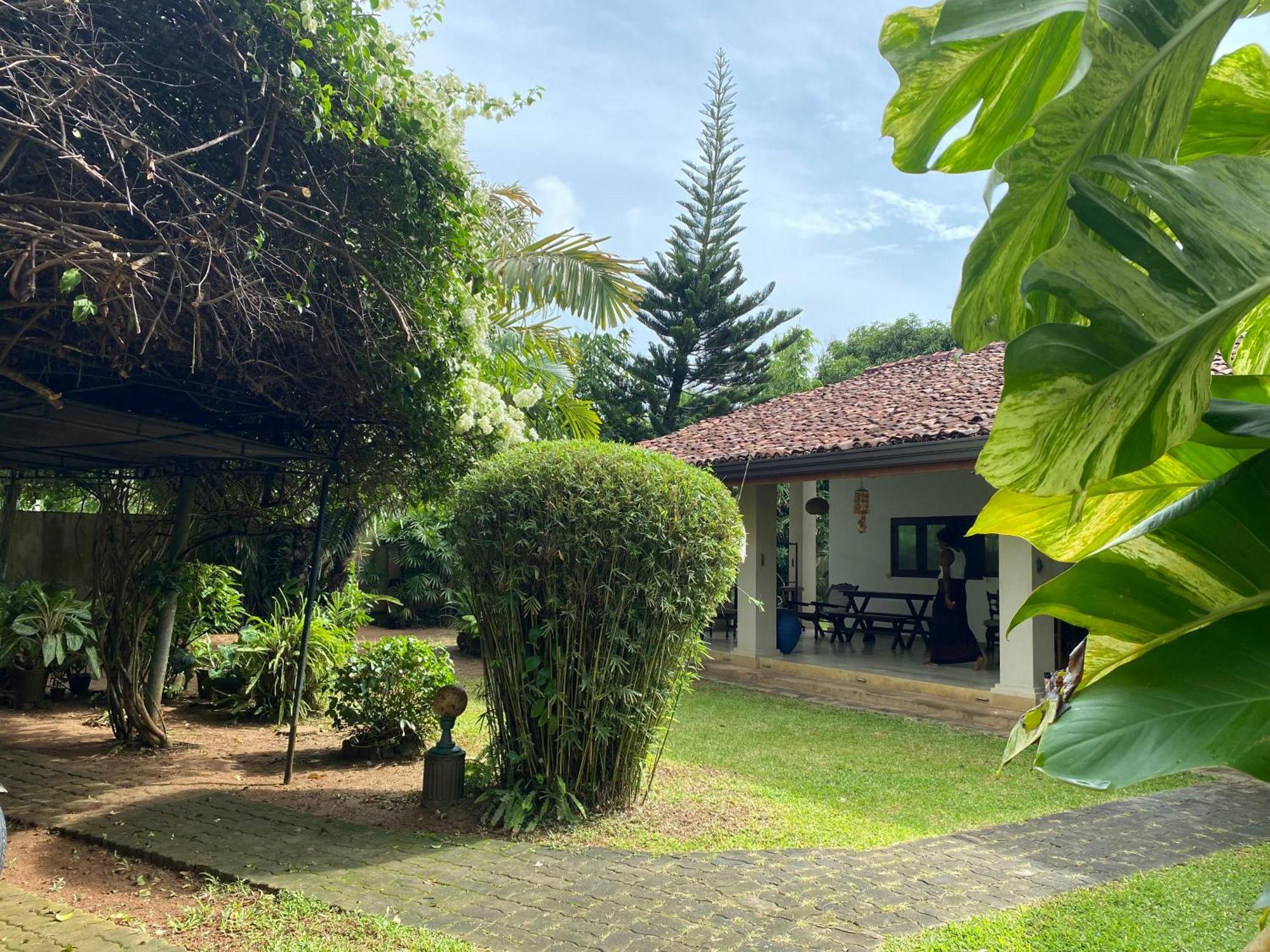 Tangalle Green House المظهر الخارجي الصورة