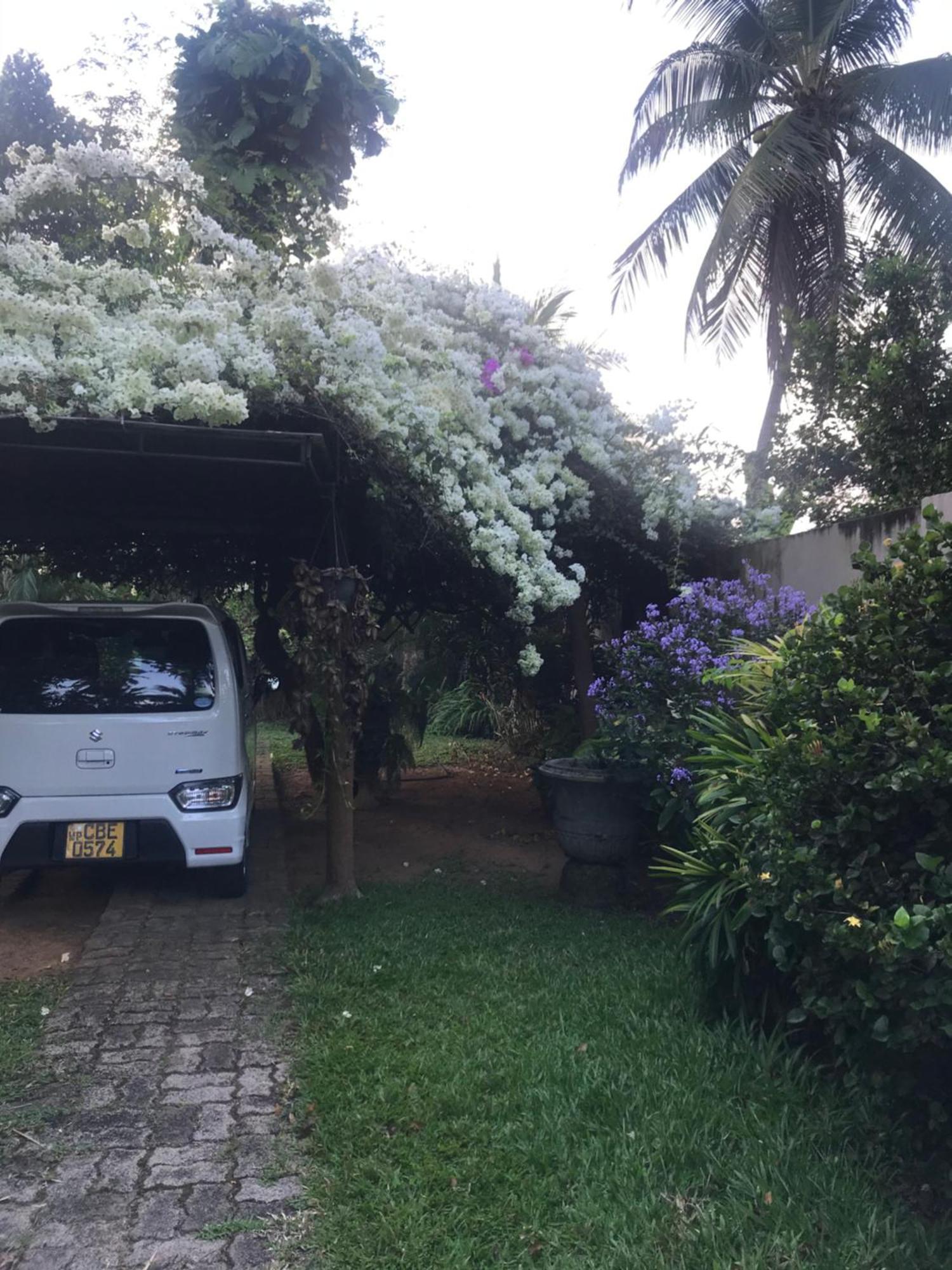 Tangalle Green House المظهر الخارجي الصورة
