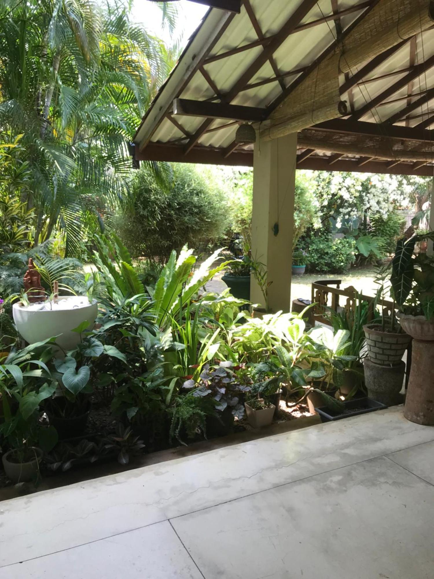 Tangalle Green House المظهر الخارجي الصورة