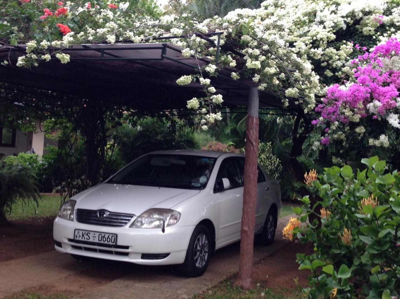 Tangalle Green House المظهر الخارجي الصورة