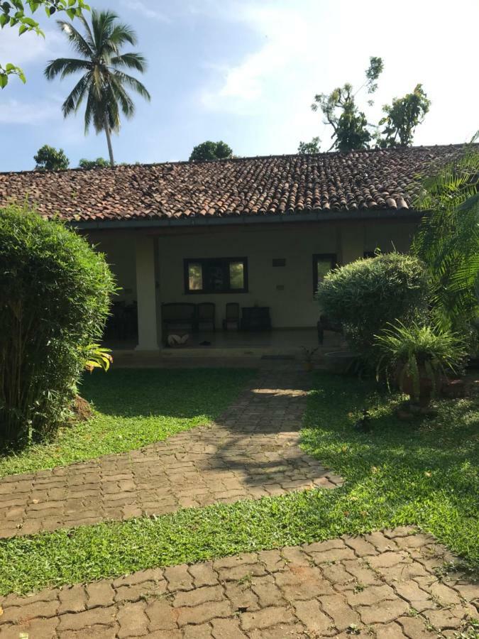 Tangalle Green House المظهر الخارجي الصورة