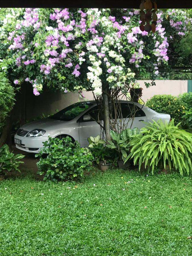 Tangalle Green House المظهر الخارجي الصورة